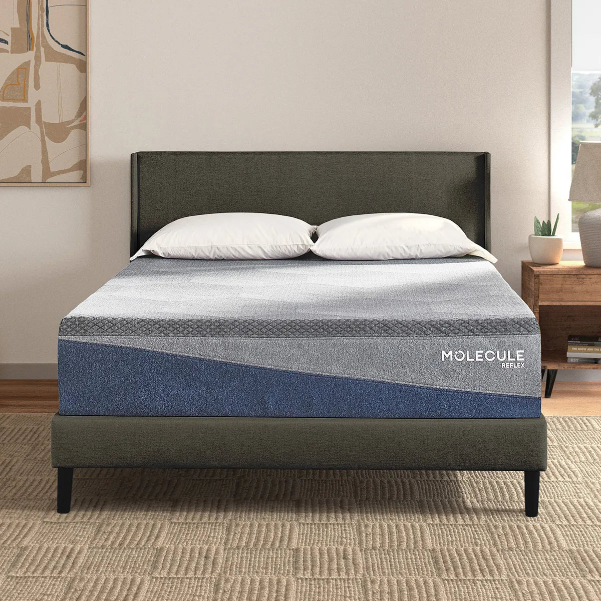 Polyester - foam mattresses for budget - friendly optionsMolecule Reflex Embrace Plush Mattress Polyester - foam mattresses for budget - friendly optionsMolecule Reflex Embrace Plush Mattress