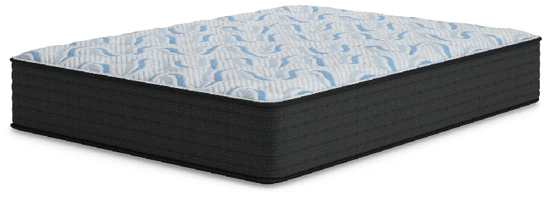Queen - size mattresses for couples and standard bedroomsElite Springs Firm Twin Mattress Queen - size mattresses for couples and standard bedroomsElite Springs Firm Twin Mattress