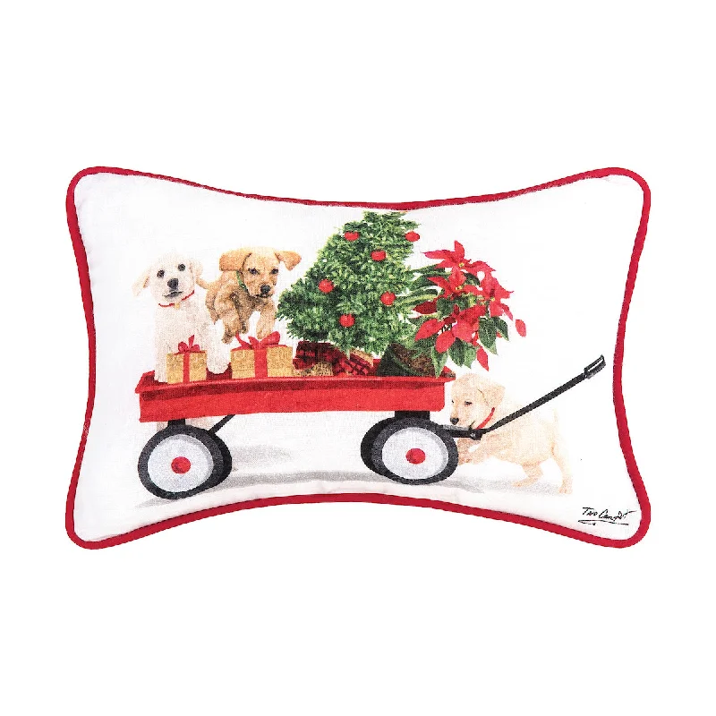 Orthopedic Pillows for Back Pain ReliefPuppy Wagon Pillow