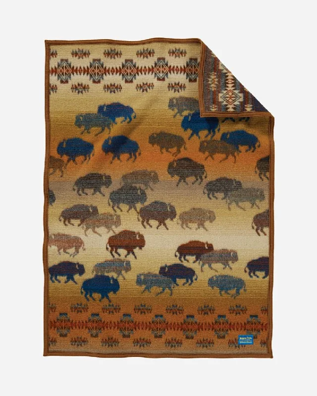 LED - lit novelty light - up blankets​Prairie Rush Hour Kids Blanket