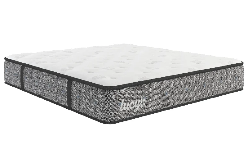 Polyester - foam mattresses for budget - friendly optionsLucy Iris Cushion Firm