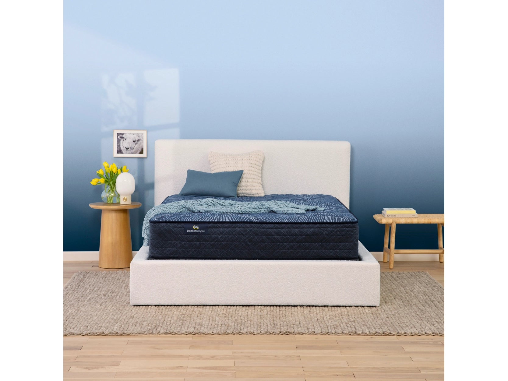 Bamboo - charcoal infused mattresses for odor absorptionSerta Perfect Sleeper Cobalt Calm Extra Firm Queen Mattress Bamboo - charcoal infused mattresses for odor absorptionSerta Perfect Sleeper Cobalt Calm Extra Firm Queen Mattress