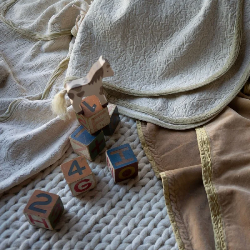 Ultra - soft minky baby swaddle blankets​Vienna Baby Blanket