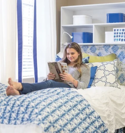 Soft and Fluffy Pillows for Bedroom ComfortOnline Design Consultation Via FaceTime