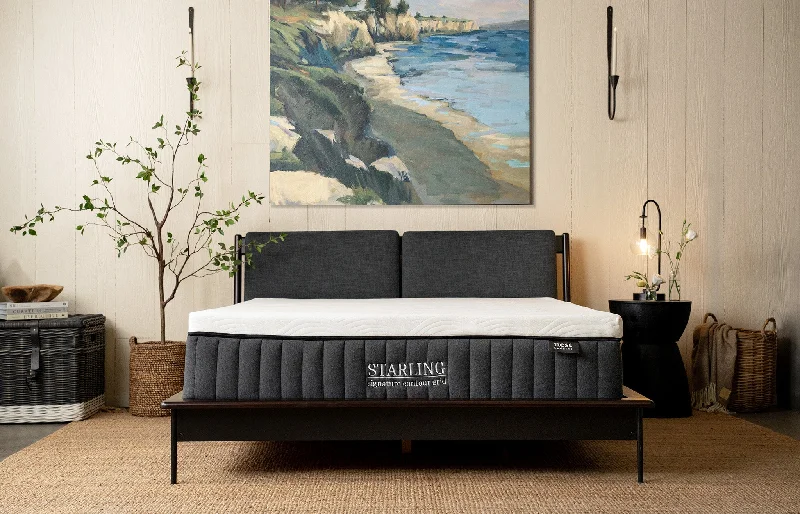 Queen - size mattresses for couples and standard bedroomsStarling Signature Contour Grid Queen - size mattresses for couples and standard bedroomsStarling Signature Contour Grid