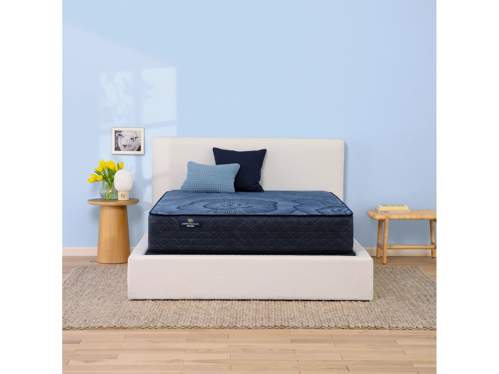 Bamboo - charcoal infused mattresses for odor absorptionSerta Perfect Sleeper Doraville Nights Hybrid Medium California King Mattress Bamboo - charcoal infused mattresses for odor absorptionSerta Perfect Sleeper Doraville Nights Hybrid Medium California King Mattress