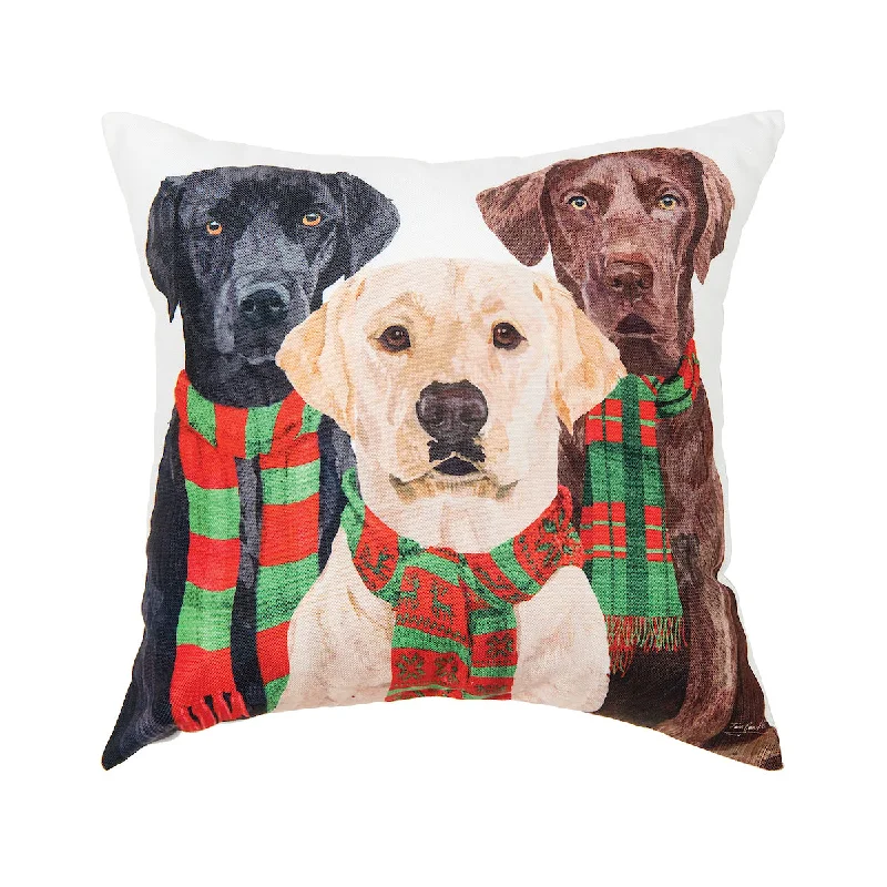 Memory Foam Pillows for Neck SupportLab Scarves Trio Pillow